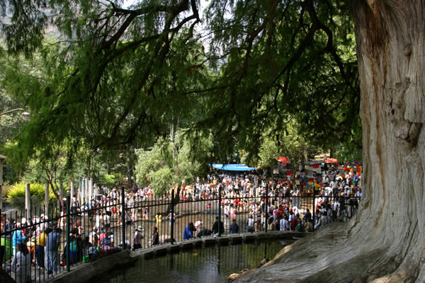 Ahuehuete de Chalma, Estado de México - TuriMexico